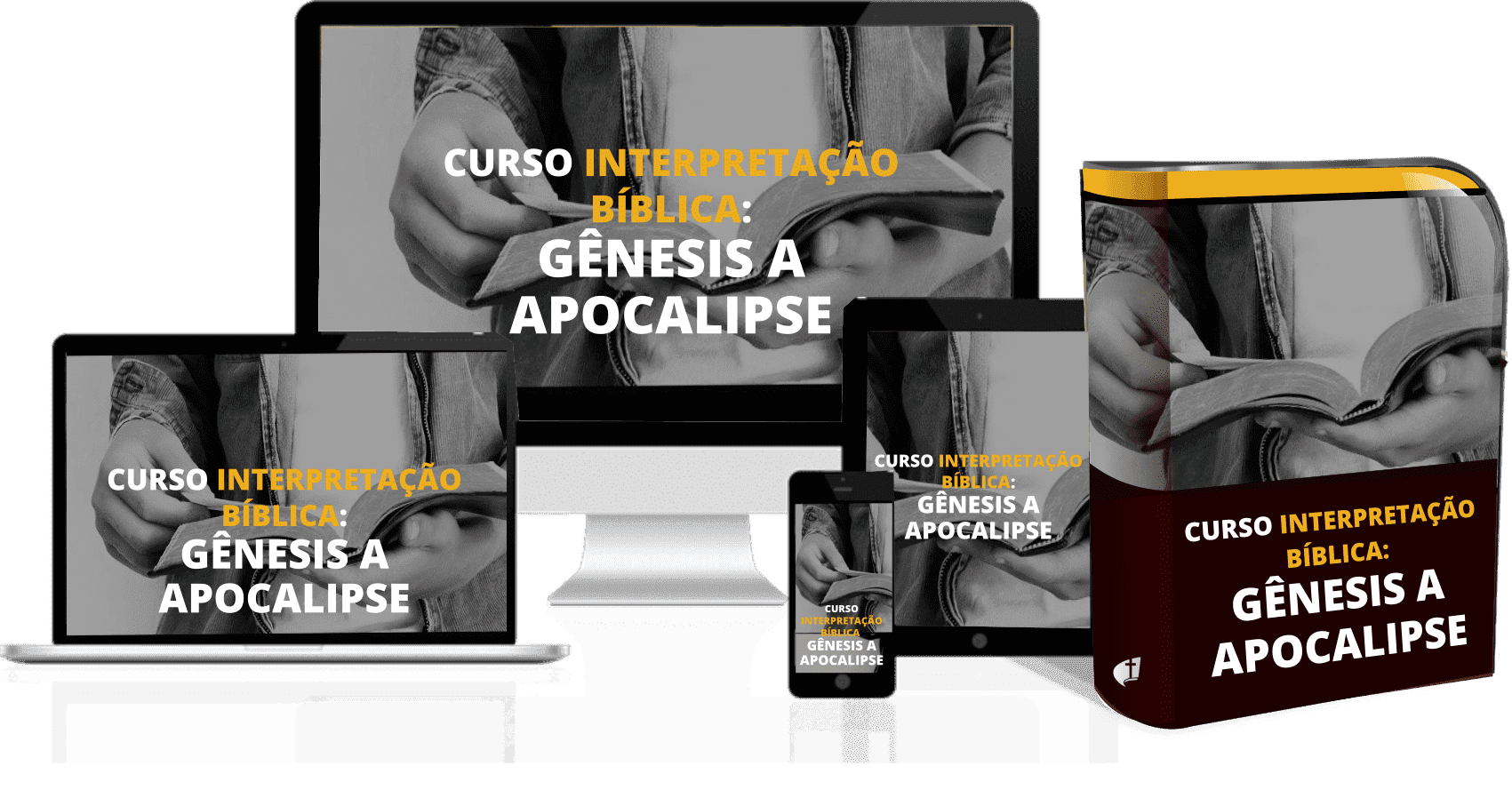 Curso de Interpretação Bíblica: Gênesis a Apocalise